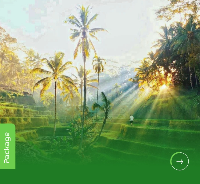 Ubud Full Day Tour